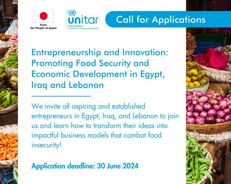 UNITAR Training Program – Entrepreneurship and Innovation 2024