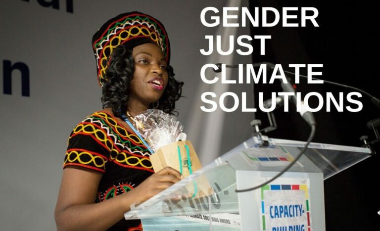 Gender Just Climate Solutions Awards 2024 | €5,000 prize